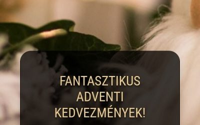 ESZSZÉ adventi promóciós naptár