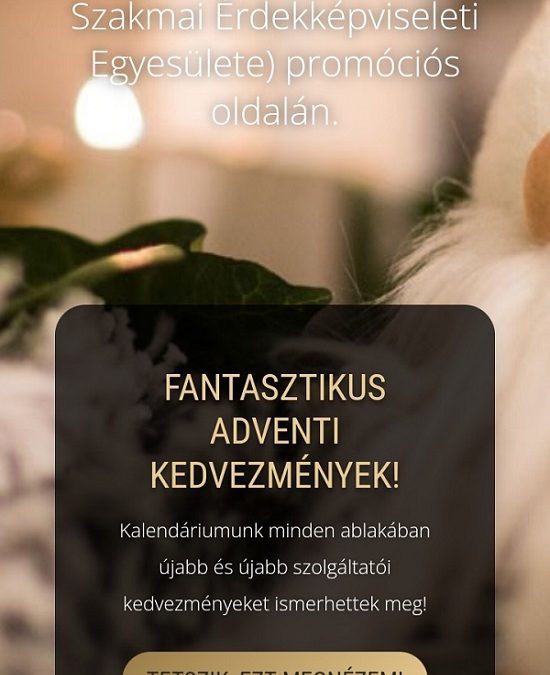ESZSZÉ adventi promóciós naptár